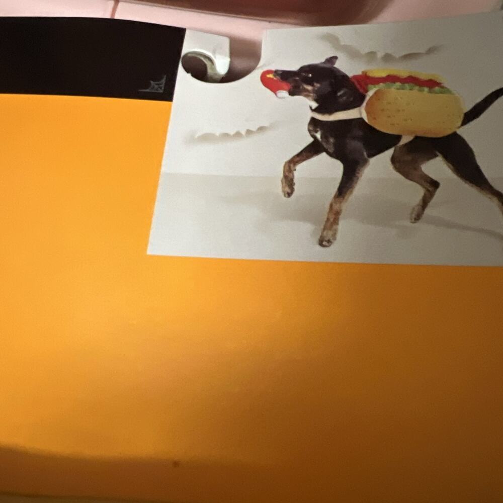 Target Hyde & Eek! Medium M Pet Hot Dog Halloween Costume New - Picture 3 of 6